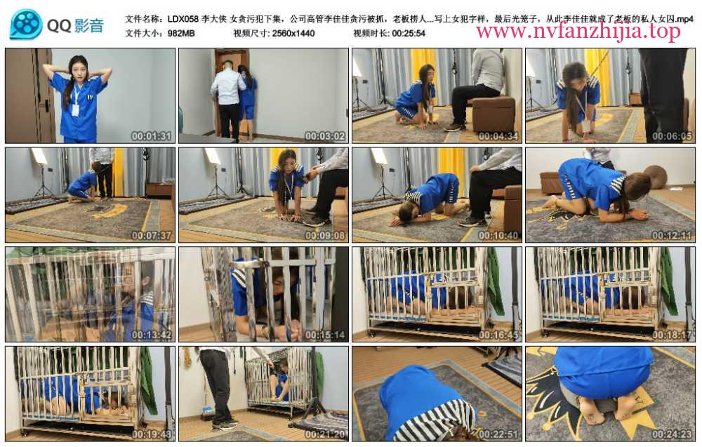 李大侠 女贪污犯下集