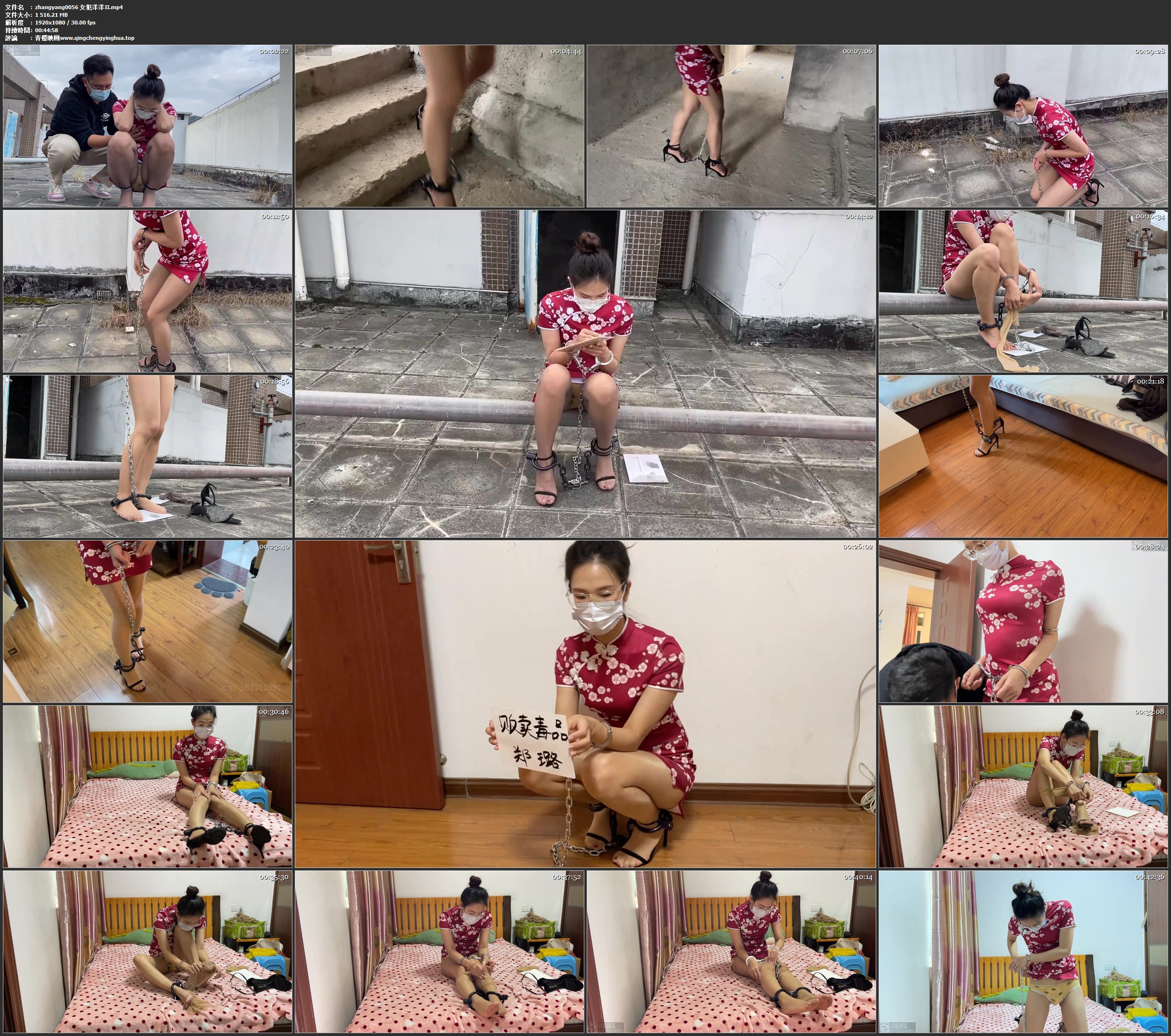 zhangyang 女犯洋洋Ⅱ