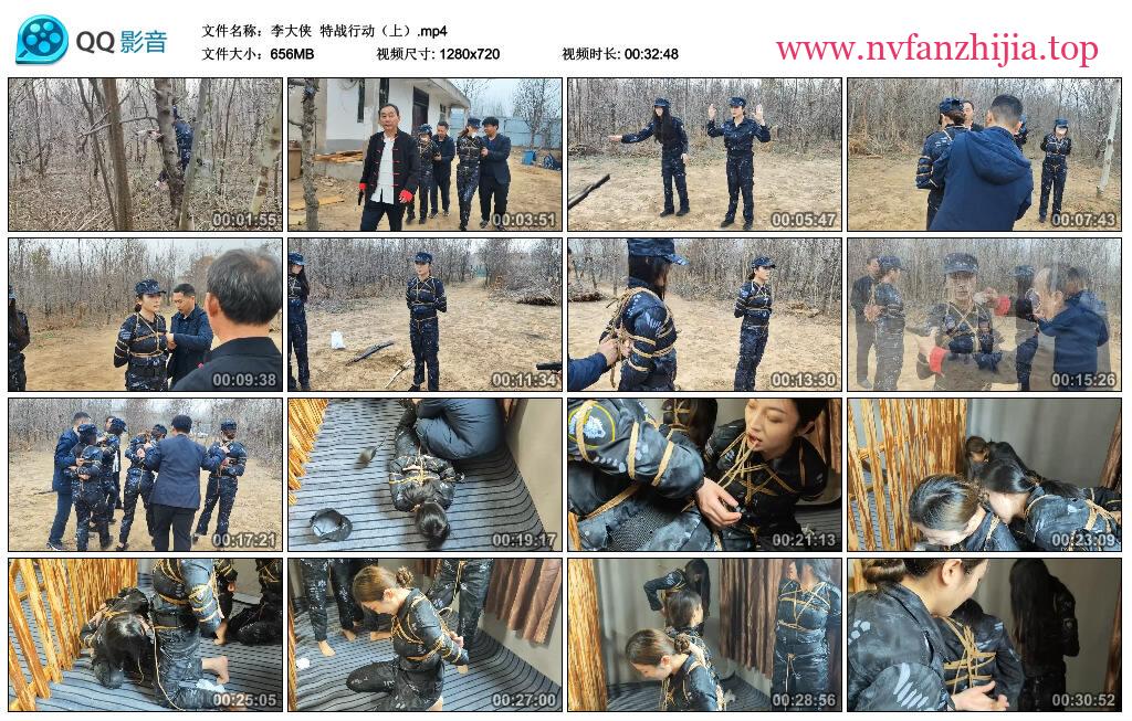 【李大侠】特战行动（上）
