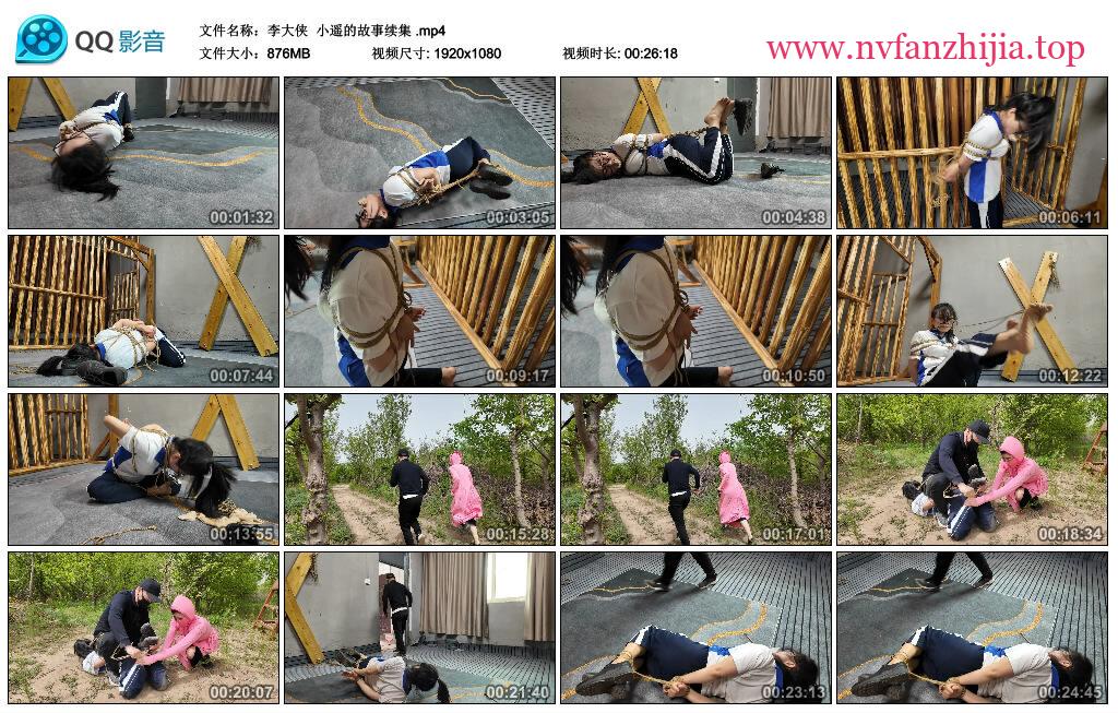 【李大侠】小遥的故事续集
