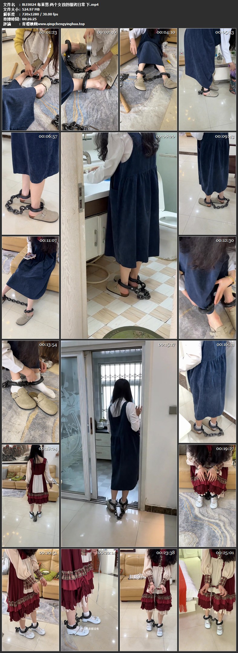 布莱恩 两个女孩的镣铐日常 下